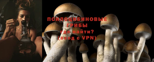 гашишное масло Краснослободск