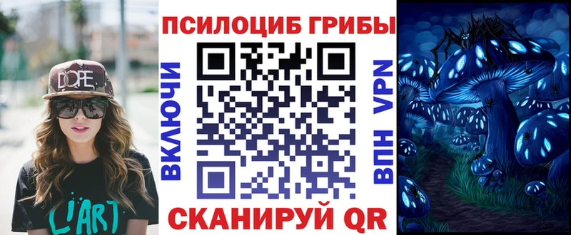 нарко площадка состав  хочу   Бердск  Галлюциногенные грибы прущие грибы  kraken как зайти 
