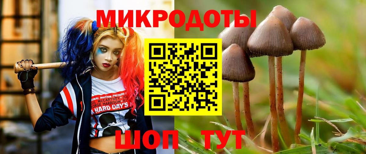 сколько стоит  Вход с VPN  Псилоцибиновые грибы мицелий  Бердск  Галлюциногенные грибы ЛСД 